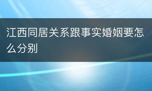 江西同居关系跟事实婚姻要怎么分别
