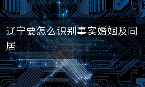 辽宁要怎么识别事实婚姻及同居