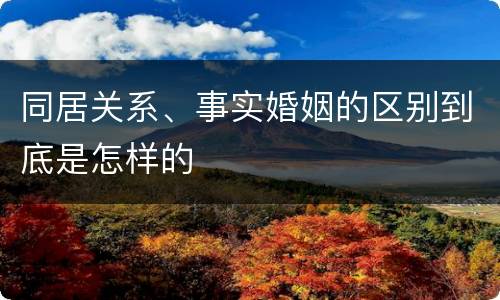 同居关系、事实婚姻的区别到底是怎样的