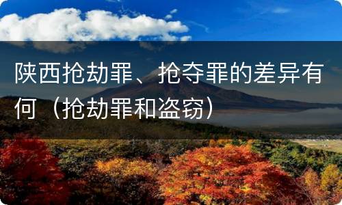 陕西抢劫罪、抢夺罪的差异有何（抢劫罪和盗窃）