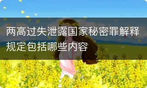 两高过失泄露国家秘密罪解释规定包括哪些内容