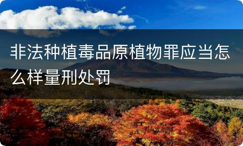 非法种植毒品原植物罪应当怎么样量刑处罚