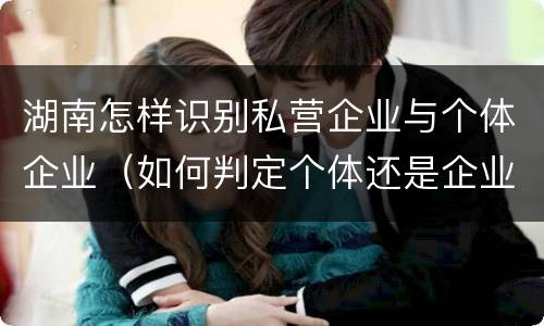 湖南怎样识别私营企业与个体企业（如何判定个体还是企业）