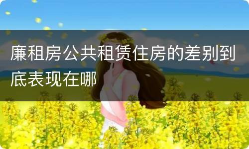 廉租房公共租赁住房的差别到底表现在哪