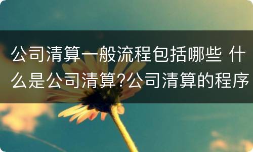 公司清算一般流程包括哪些 什么是公司清算?公司清算的程序
