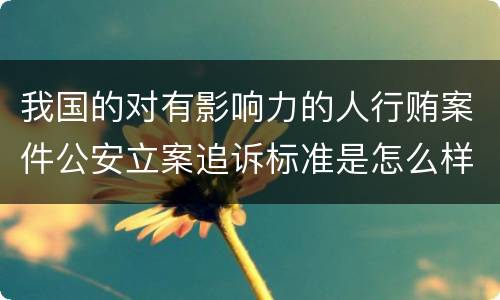 我国的对有影响力的人行贿案件公安立案追诉标准是怎么样规定