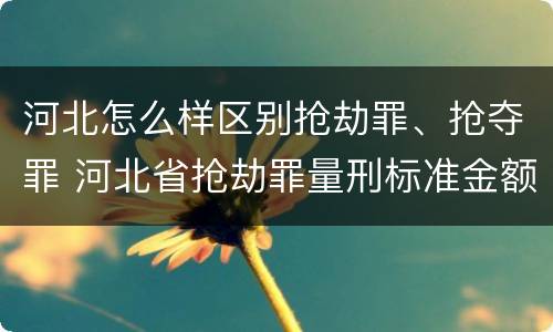 河北怎么样区别抢劫罪、抢夺罪 河北省抢劫罪量刑标准金额