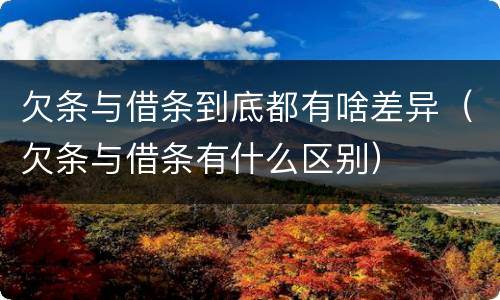 欠条与借条到底都有啥差异（欠条与借条有什么区别）