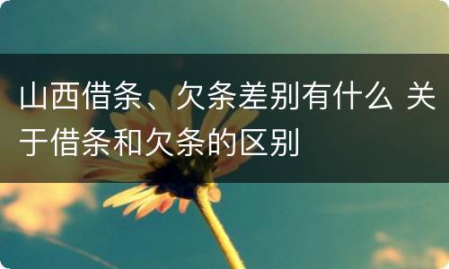 山西借条、欠条差别有什么 关于借条和欠条的区别