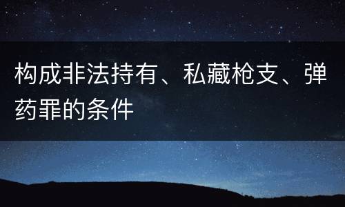 构成非法持有、私藏枪支、弹药罪的条件