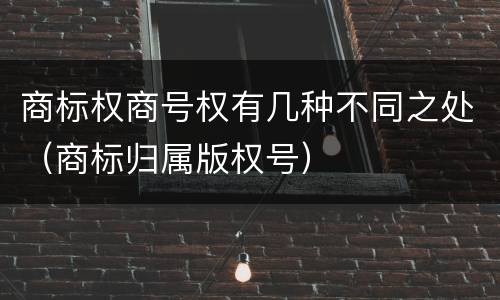 商标权商号权有几种不同之处（商标归属版权号）