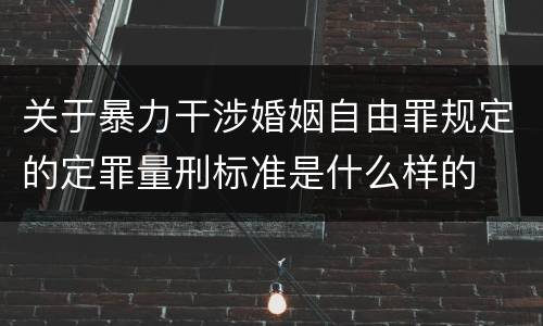 关于暴力干涉婚姻自由罪规定的定罪量刑标准是什么样的