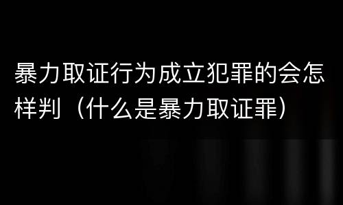 暴力取证行为成立犯罪的会怎样判（什么是暴力取证罪）