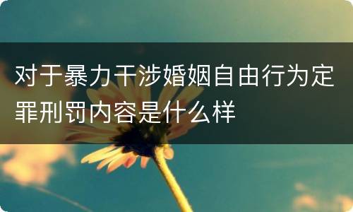 对于暴力干涉婚姻自由行为定罪刑罚内容是什么样