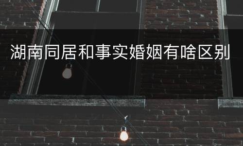 湖南同居和事实婚姻有啥区别