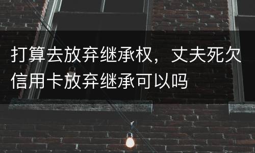 打算去放弃继承权，丈夫死欠信用卡放弃继承可以吗