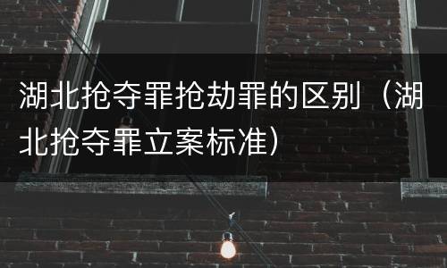 湖北抢夺罪抢劫罪的区别（湖北抢夺罪立案标准）