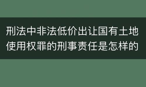 刑法中非法低价出让国有土地使用权罪的刑事责任是怎样的