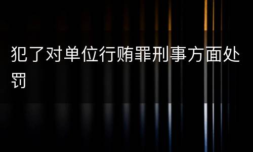 犯了对单位行贿罪刑事方面处罚