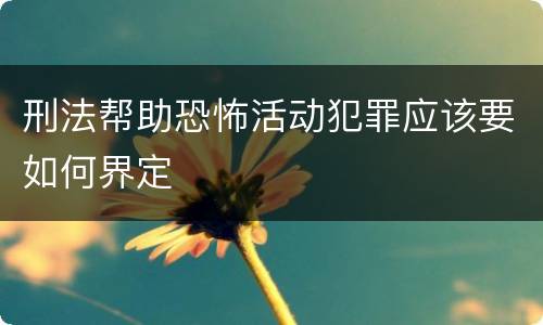 刑法帮助恐怖活动犯罪应该要如何界定