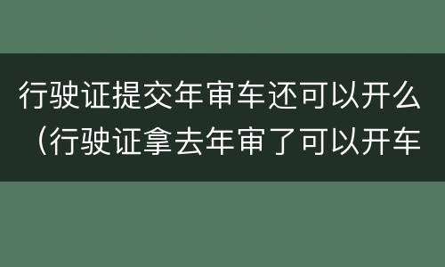 行驶证提交年审车还可以开么（行驶证拿去年审了可以开车吗）