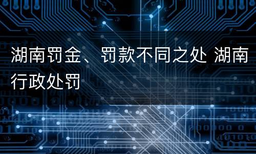 湖南罚金、罚款不同之处 湖南行政处罚