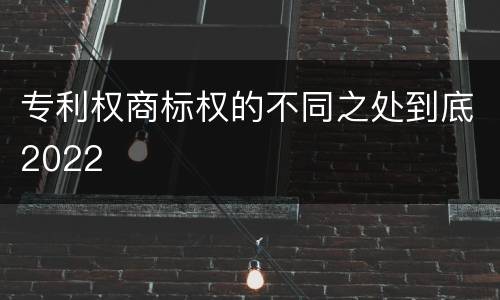 专利权商标权的不同之处到底2022