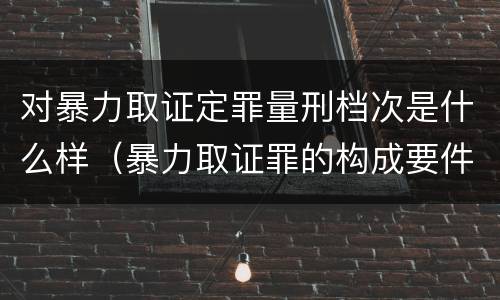对暴力取证定罪量刑档次是什么样（暴力取证罪的构成要件）