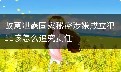 故意泄露国家秘密涉嫌成立犯罪该怎么追究责任
