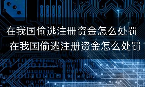 在我国偷逃注册资金怎么处罚 在我国偷逃注册资金怎么处罚的