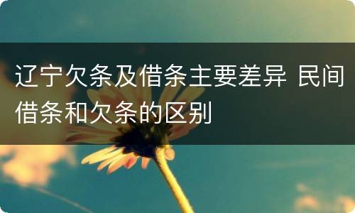 辽宁欠条及借条主要差异 民间借条和欠条的区别