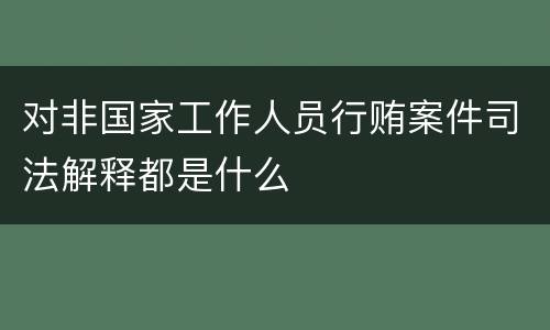 对非国家工作人员行贿案件司法解释都是什么