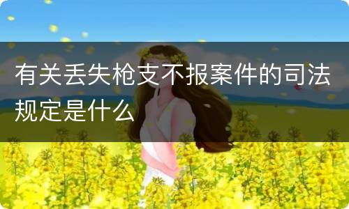 有关丢失枪支不报案件的司法规定是什么