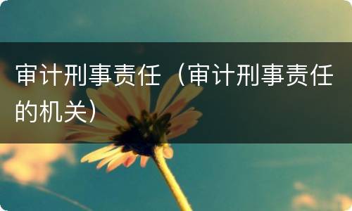 审计刑事责任（审计刑事责任的机关）