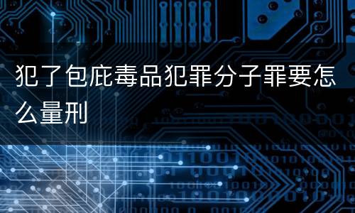 犯了包庇毒品犯罪分子罪要怎么量刑