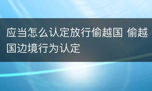 应当怎么认定放行偷越国 偷越国边境行为认定