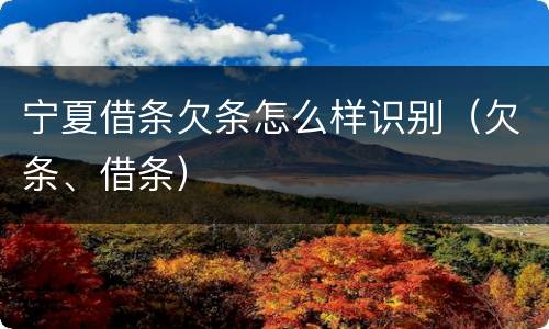 宁夏借条欠条怎么样识别（欠条、借条）