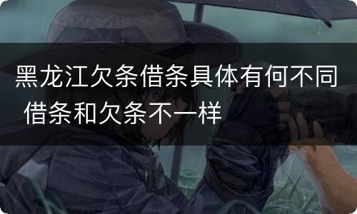黑龙江欠条借条具体有何不同 借条和欠条不一样