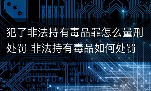 犯了非法持有毒品罪怎么量刑处罚 非法持有毒品如何处罚
