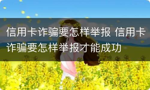 信用卡诈骗要怎样举报 信用卡诈骗要怎样举报才能成功