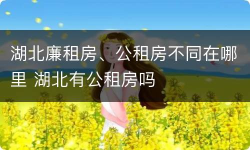 湖北廉租房、公租房不同在哪里 湖北有公租房吗