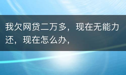 我欠网贷二万多，现在无能力还，现在怎么办，