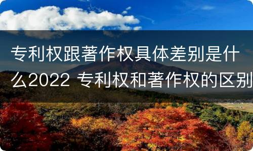 专利权跟著作权具体差别是什么2022 专利权和著作权的区别