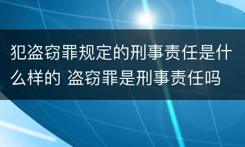 犯盗窃罪规定的刑事责任是什么样的 盗窃罪是刑事责任吗