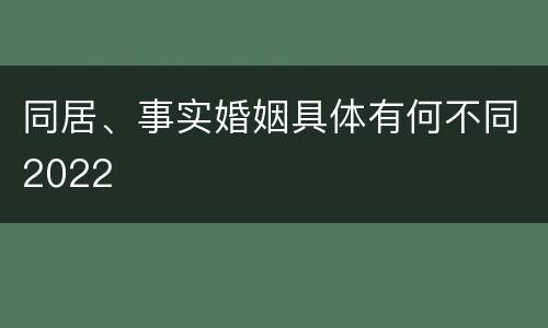 同居、事实婚姻具体有何不同2022