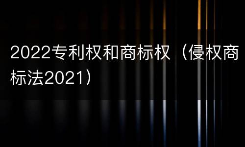 2022专利权和商标权（侵权商标法2021）