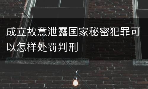 成立故意泄露国家秘密犯罪可以怎样处罚判刑