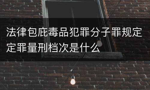 法律包庇毒品犯罪分子罪规定定罪量刑档次是什么