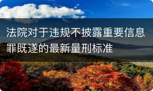 法院对于违规不披露重要信息罪既遂的最新量刑标准