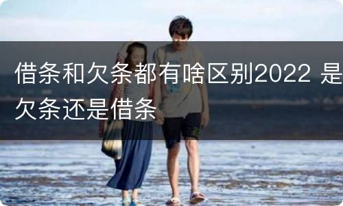 借条和欠条都有啥区别2022 是欠条还是借条
